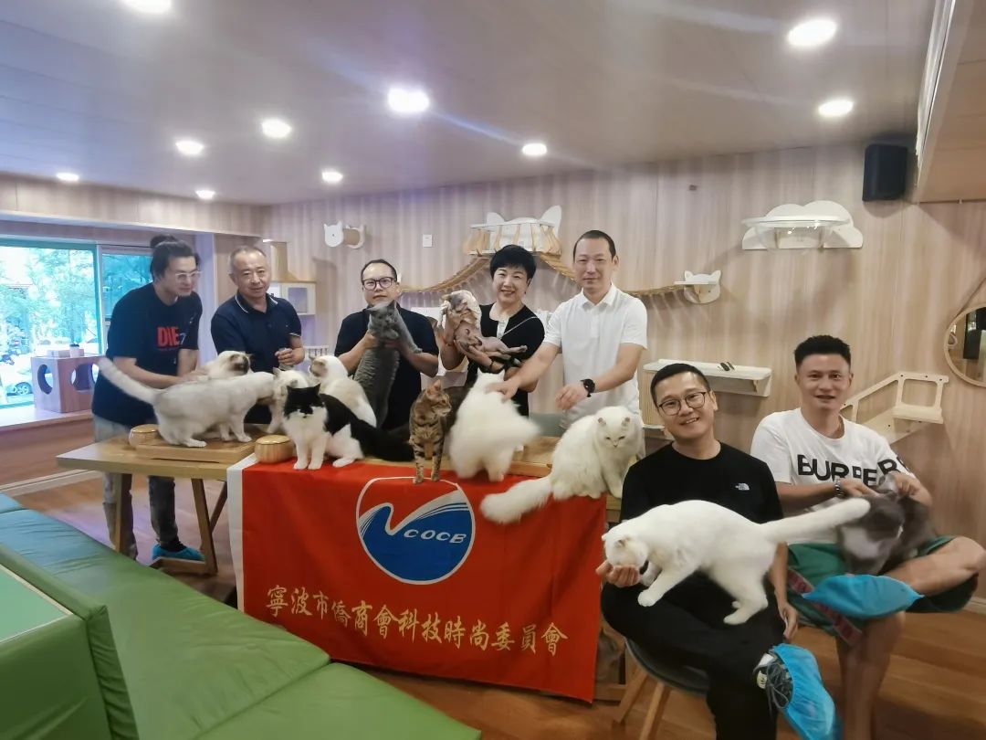 宁波市侨商会科技时尚委员会走进猫咖