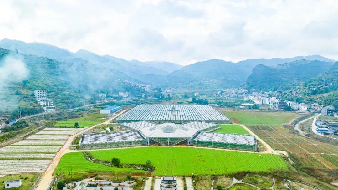 【名誉会长】吴剑平：6年不断试错，探索民营企业助力乡村振兴的新路径