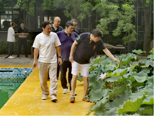 【团体会员】凝心聚力，共话发展--新乡市侨商会走进“不老鸡不老鸭”调研参观