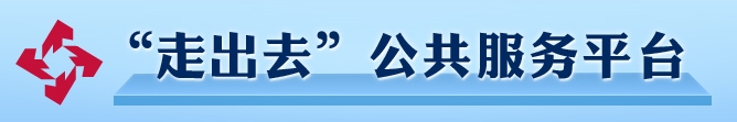 “走出去”公共服务平台
