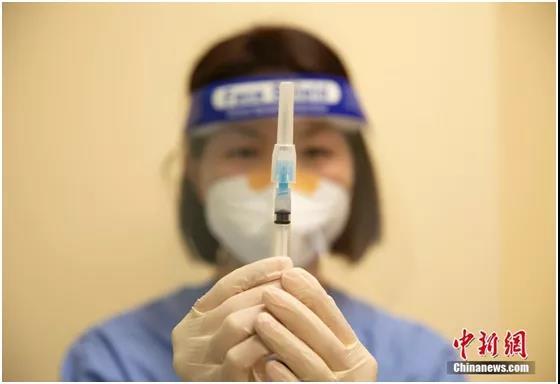 资料图。中新社记者刘关关摄