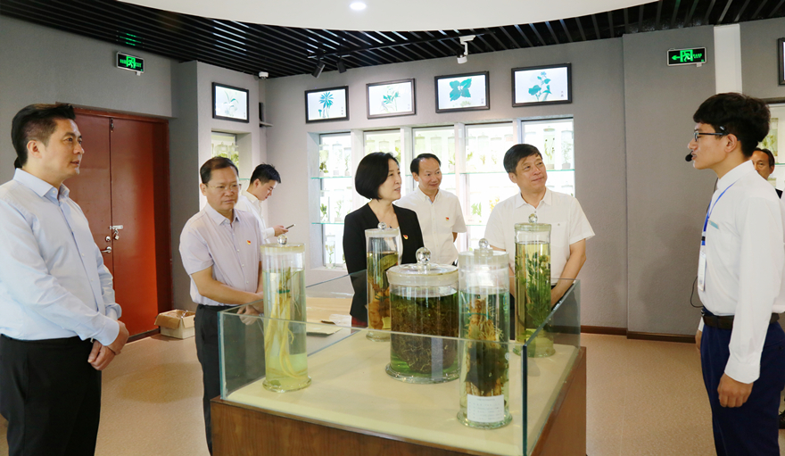 1R6A3732_副本_副本.jpg 1R6A3732_副本_副本.jpg