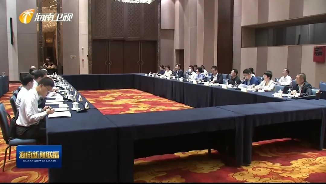海南省侨商联合会会长洪江游受邀参加全国人大常委会调研组专题座谈会并发言