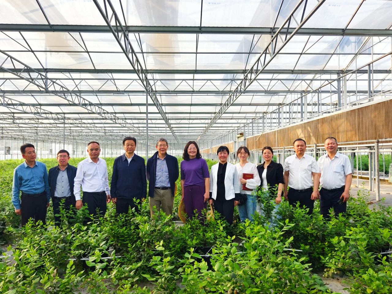 【名誉会长】省、州、市人大领导调研百孚乡村振兴创新实验区暨“教农文旅康” 融合创新示范点，河南省侨商联合会名誉会长、贵州百孚实业集团董事长吴剑平陪同